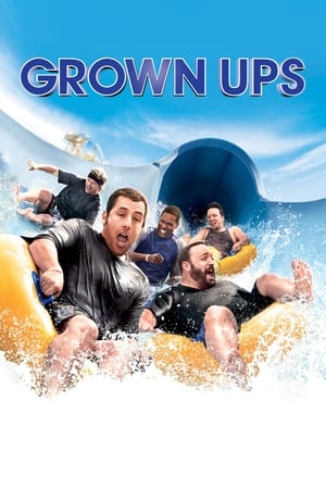Grown Ups (2010) Hindi Dual Audio 300MB