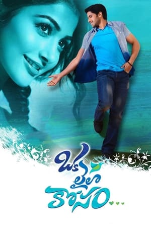 Oka Laila Kosam 2014 (Hindi – Telugu) Dual Audio 500MB