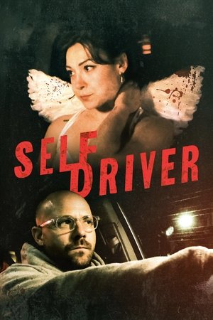Self Driver (2024) Hindi (MULTI AUDIO) – – 1080p