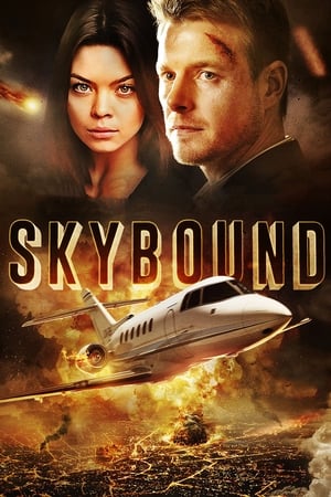 Skybound (2017) Hindi Dual Audio 350MB