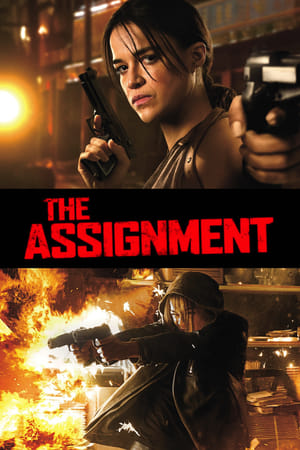 The Assignment (2016) Hindi Dual Audio 300MB