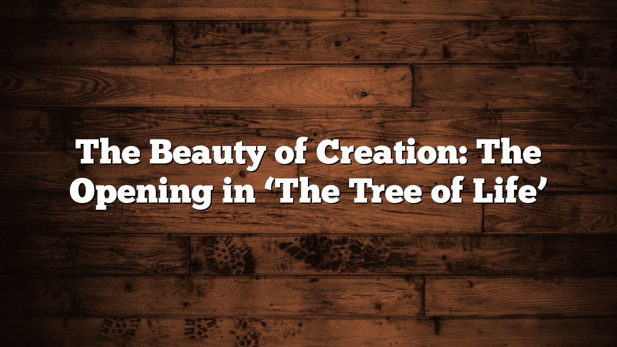 The Beauty of Creation: The Opening in ‘The Tree of Life’